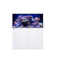Reefer 425 G3